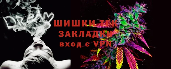 прущие грибы Костерёво