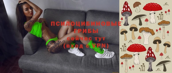 хмурый Краснослободск