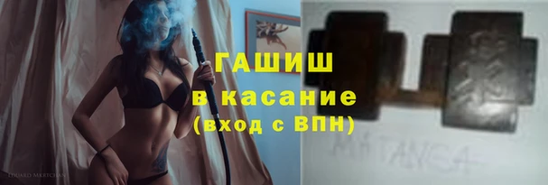 прущие грибы Костерёво