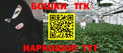 спиды Дубна