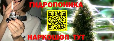 спиды Дубна