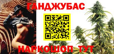 спиды Дубна