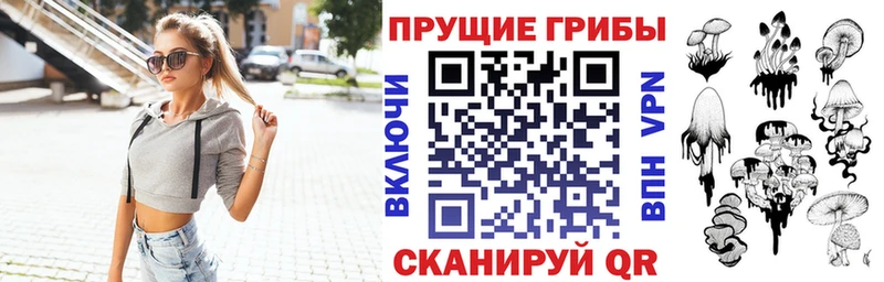 Псилоцибиновые грибы Magic Shrooms  hydra ссылки  Чапаевск  сколько стоит 