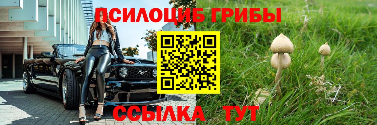 Галлюциногенные грибы ЛСД Чапаевск