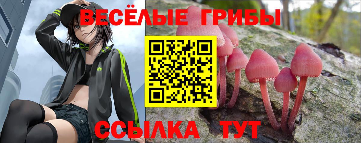 Галлюциногенные грибы ЛСД  Вход с VPN  Чапаевск 
